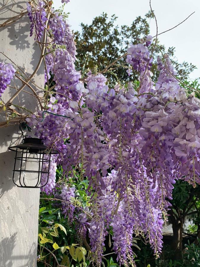 Castello Della Bastia Hotel Balocco ภายนอก รูปภาพ